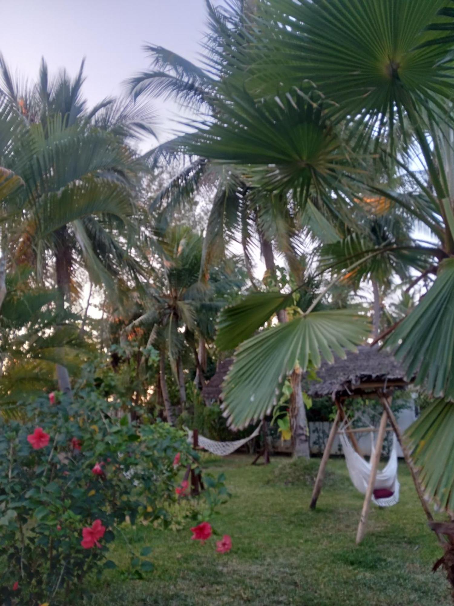 Le Moya Beach Nosy-Be Exterior foto